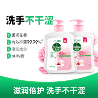 滴露抑菌洗手液450g*2瓶装 滋润倍护(2个都带头子 日期新鲜)