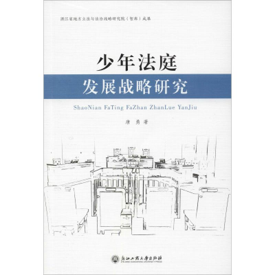 醉染图书少年法庭发展战略研究9787517834854