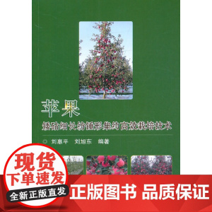 苹果矮砧细长纺锤形集约栽培技术