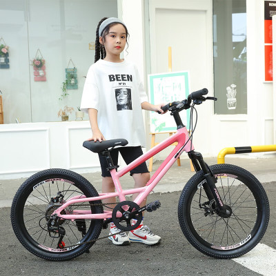 永久 F1940-S 8速20寸自行车线碟铝架 亮光粉紫