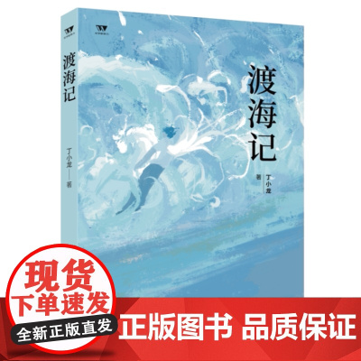 正版 文学新势力 第二辑渡海记 丁小龙 著 北师大文学教授张柠鼎力,人生如海,每个人心中都有一本渡海指南 济南出版