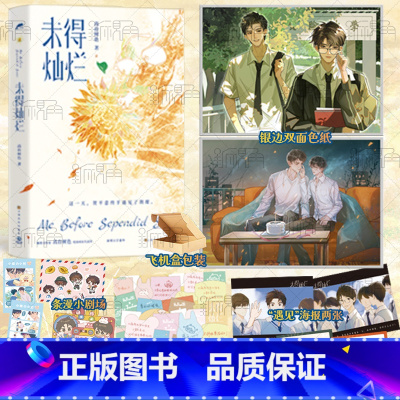 [正版]未得灿烂 高台树色著 《白日事故》同作者 新增万字番外 荆璨vs贺平意 新视角图书