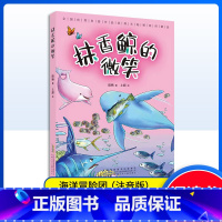 抹香鲸的微笑 [正版]抹香鲸的微笑 陆杨 安徽少年儿童出版社 畅游神秘海洋 课外读物图书课外书籍 儿童科普 fb
