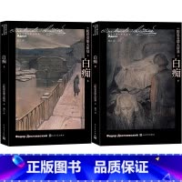 白痴(全二册) [正版]白痴上下全二册陀思妥耶夫斯基选集经典世界名著