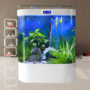 入户双圆形鱼缸玻璃生态水族箱现代家用客厅中大型简约免换水