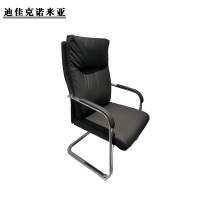 迪佳克诺米亚 办公椅 办公弓形椅 J-600*700*1100mm 把