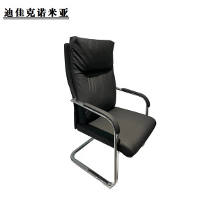 迪佳克诺米亚 办公椅 办公弓形椅 J-600*700*1100mm 把