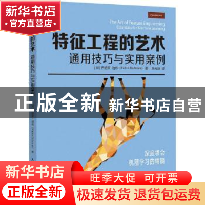 正版 特征工程的艺术:通用技巧与实用案例 [加]巴勃罗·迪布 人民