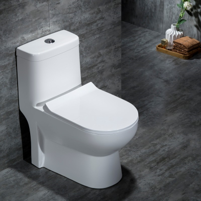 直落式马桶