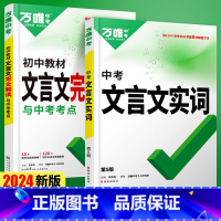 24版[文言文实词+文言文解读]2本 [正版]初中文言文实词虚词专项训练阅读理解全解七八九年级初一初二初三资料书2025