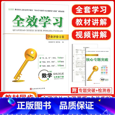 数学 七年级下 [正版]全效学习学业评价方案七年级下册数学人教版同步练习册、试卷、答案、核心专题突破小册子
