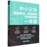 [N]中小企业税务筹划财税核算与纳税实操一本通-9787113291372