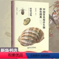 [正版]中国常见海洋生物原色图典 软体动物 魏建功,曲学存 编 生命科学/生物学少儿 书店图书籍 中国海洋大学出版社