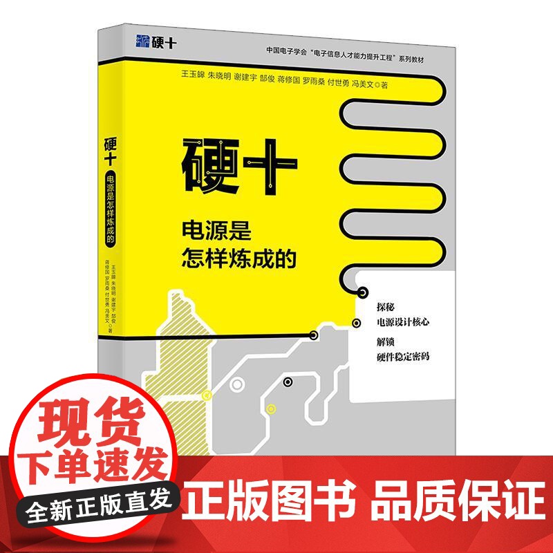 硬十:电源是怎样炼成的 王玉皞 北京大学店正版