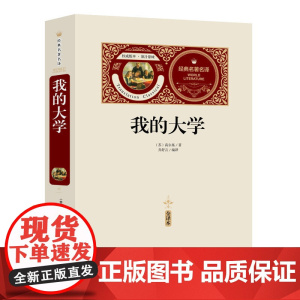 我的大学 赠备考手册 全译本无删减 阅读 经典世界文学名著 小说 *初高中