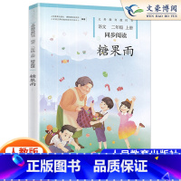 二年级上 糖果雨 二年级上 [正版]小学语文二年级上册同步阅读糖果雨人民教育出版社出版阅读语文同步拓展阅读与训练二年级糖