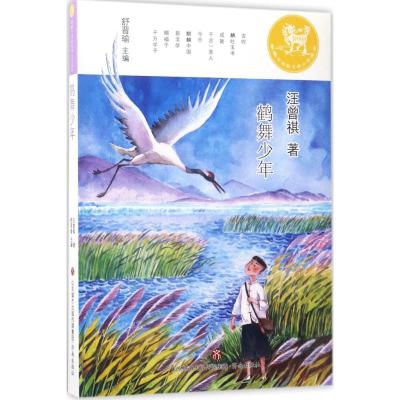麒麟中国新文学少年读本·鹤舞少年