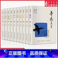 鲁迅经典全集(全10册) [正版]鲁迅经典全集全10册文学研究类书籍文学作品集鲁迅朝花夕拾彷徨呐喊野草故事新编南腔北调集
