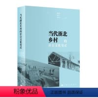 [正版]文 当代浙北乡村的社会文化变迁 9787208161504 上海人民出版社1