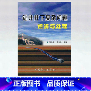 [正版]钻井井下复杂问题预防与处理 9787801648419 中国石化出版社