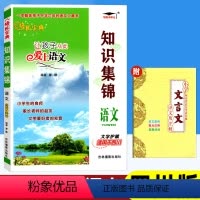 语文(四川专版) 小学通用 [正版]四川专版 小学知识集锦语文 培优宝典语文小学生一至六年级语文知识大全小升初毕业总复习