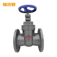 瑞吉君 闸阀 DN100 个