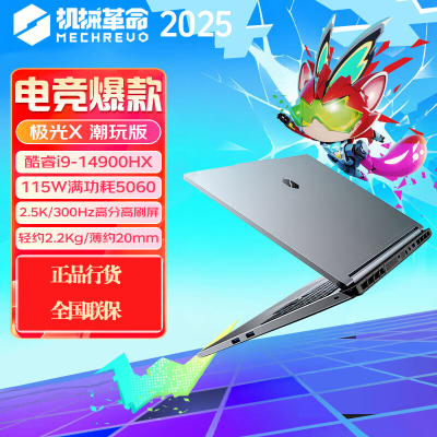 机械革命(MECHREVO)极光X 潮玩版 16英寸游戏本笔记本电脑 定制(I9-14900HX 32G 2T RTX5060 2.5K屏 300Hz 灰)