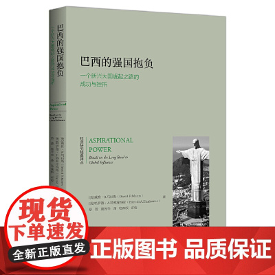 巴西的强国抱负:一个新兴大国崛起之路的成功与挫折 浙江大学出版社 正版书籍