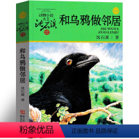 和乌鸦做邻居 [正版]和乌鸦做邻居沈石溪动物小说全集沈石溪的书全系列单本经典品藏书系大王儿童文学小学生六年级五年级精品四