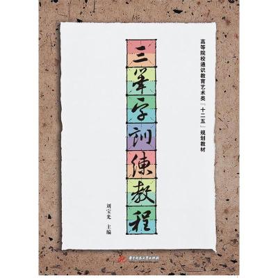 正版新书]三笔字训练教程刘宝光9787560989556