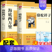 [配套人教版]骆驼祥子+海底两万里 [正版]全套4册 朝花夕拾和西游记鲁迅原著骆驼祥子老舍海底两万里七年级必读的课外书初