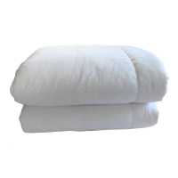 兰光铭 棉花被 LGM1403 床