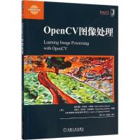 正版新书]OpenCV图像处理葛罗瑞亚·布埃诺·加西亚9787111527473