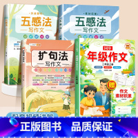 [4本]五感法2本+扩句法+同步年级作文2上 小学通用 [正版]抖音同款 2023新版五感法写作文三到六年级同步作文小学