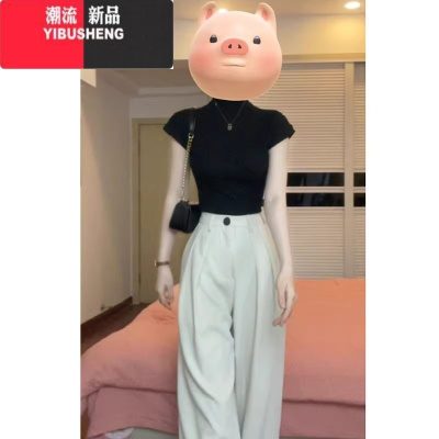 YIBUSHENG韩系黑色半高领冰丝针织衫正肩短袖t恤女季修身别致小飞袖上衣