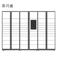 苏兴盛智能快递柜小区快递自提柜派件柜室外寄存柜信报箱储物柜一主两幅61格