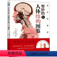 [正版]进化的痕迹 奇妙的人体结构图鉴 南海出版公司 冯利敏 译 生命科学/生物学
