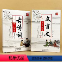 初中(必背古诗词+文言文)卡 初中通用 [正版]人教版初中语文七八九年级初一初二初三文言文阅读训练全解记忆背诵卡片手卡闪