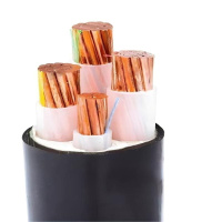 佰裕 铜芯电缆 ZC-YJV 0.6/1KV 4*16+1*10 米