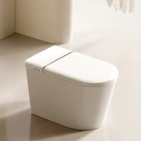 惠达HUIDA轻智能马桶EX09系列 节水无水压限制带水箱泡沫盾脚感翻盖智能坐便器座圈加热 [王炸爆品]