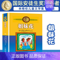 姐妹花 [正版]长袜子皮皮的故事非注音版中国少年儿童出版社小学生二三四年级课外书 阅读书目儿童文学作品林格伦作品集美绘版