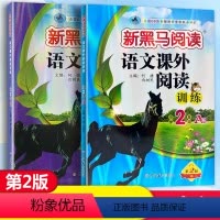 语文课外阅读训练A版+B版 小学二年级 [正版]2024新版 新黑马阅读语文课外阅读训练小学2年级A版B版二年级上册下册
