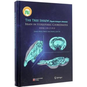 树鼩脑立体定位图谱