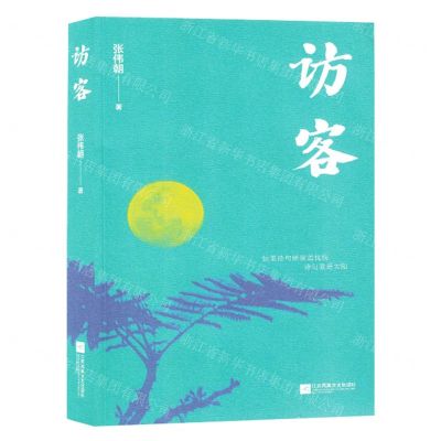 [N]访客-9787559476562