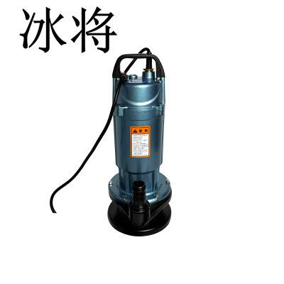 冰将 220V国标潜水泵清水泵抽水泵 台