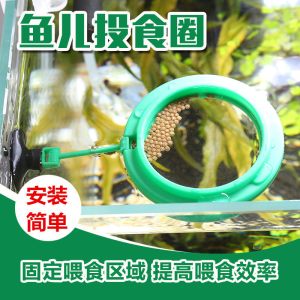 鱼食投喂圈鱼儿投食圈水族箱漂饲料浮鱼儿带吸盘