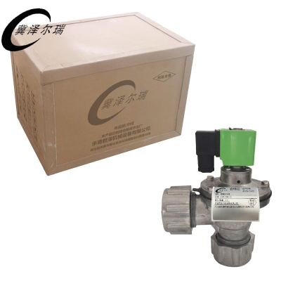 冀泽尔瑞 电磁脉冲阀 DMF-ZM-25 个
