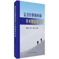 音像复杂肝胆胰疾病手术图鉴及分析段伟宏,谢于,周丁华著