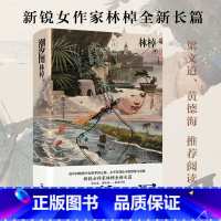 [正版] 潮汐图 林棹豆瓣年度作者 梁文道黄德海力荐 当代文学精装 上海文艺出版社长篇小说 另著流溪 小说散文书籍