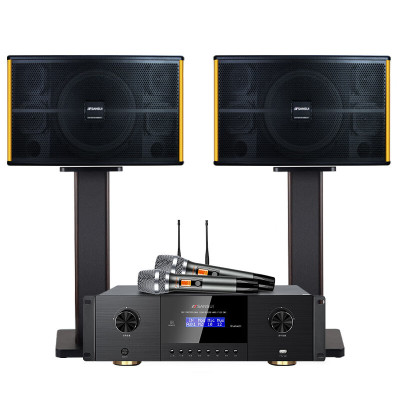 山水(SANSUI) PK-10家庭家用ktv音响套装 大功率音箱 PK10十喇叭音响+功放+话筒